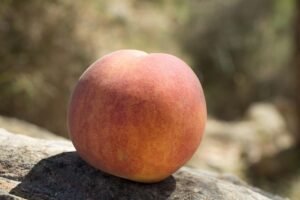 Fresh peaches chopped and processed first hand to give you the cleanest, freshest flavor we can
